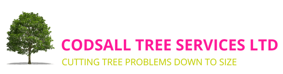 Codsall Tree Services Ltd - Local Tree Surgeon