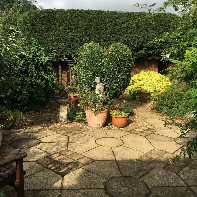 After hedge shaping